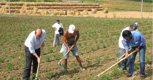 Disoccupazione agricola: quando si può richiedere? Quanto si percepisce?