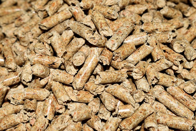 Stufe a pellet idro: cosa sono? Come funzionano? I consigli degli esperti