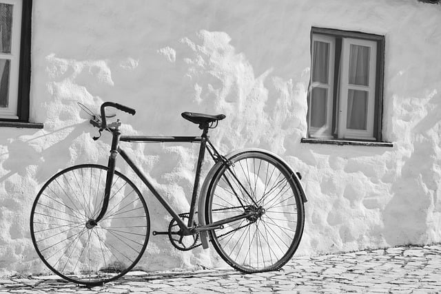 In aumento le vendite di biciclette online in Italia: un’analisi sui costi